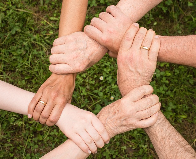How to Leverage Partnerships and Collaborations