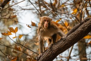 louise penny books in order 2023
