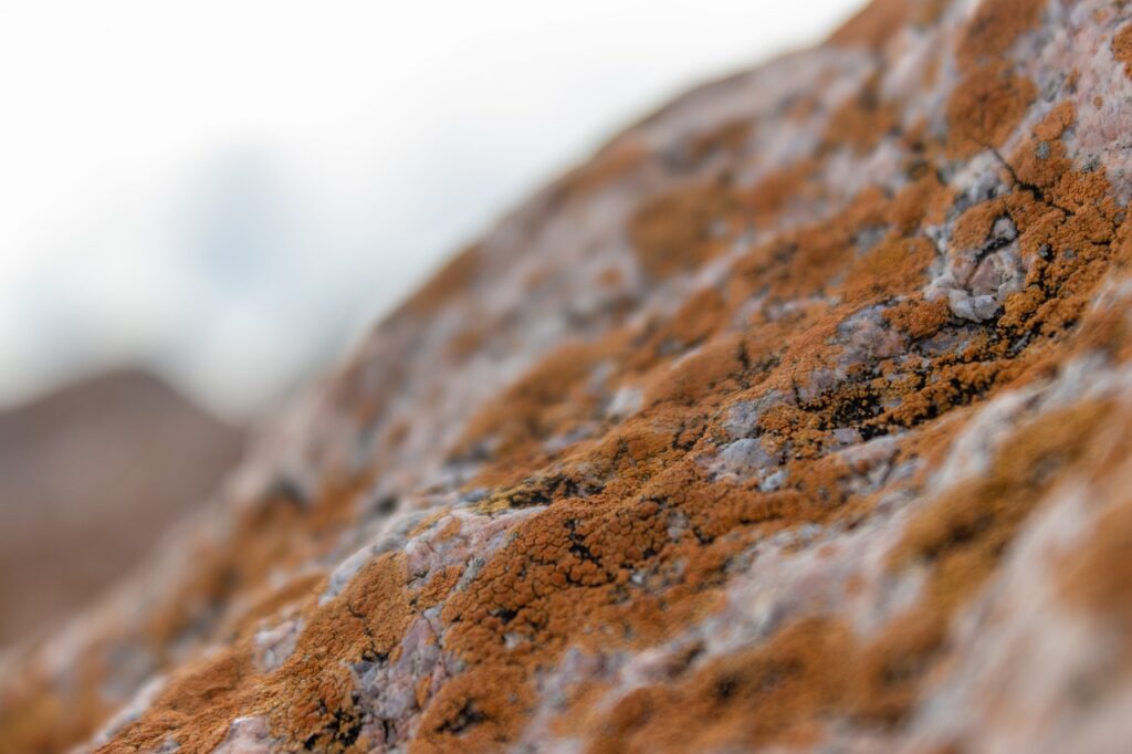 louise penny books in order gamache