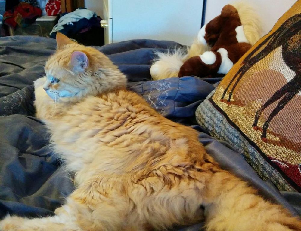 8tshare6a software 8tshare6a software