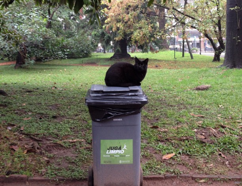 advertising ginkialuz housing ltd