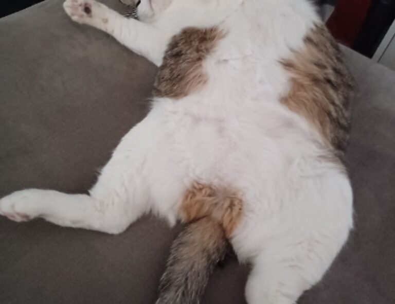 best code advice buzzardcoding