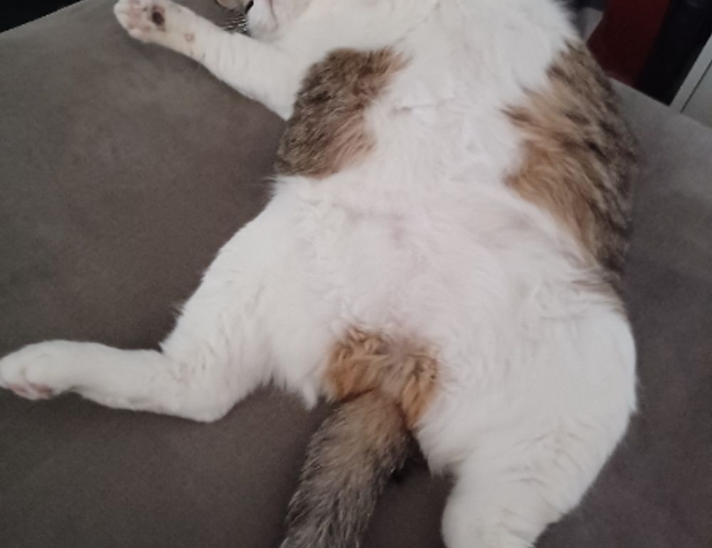 best code advice buzzardcoding