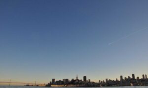 code guide buzzardcoding