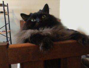 gfxdigitational tech news by gfxmaker