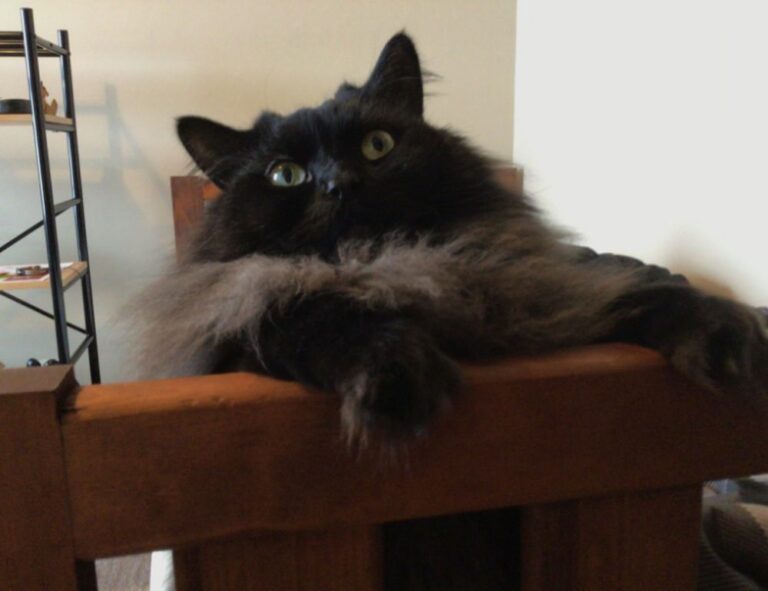 gfxdigitational tech news by gfxmaker