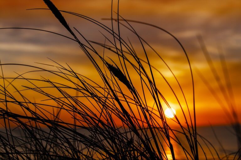 gfxprojectality latest tech by gfxmaker