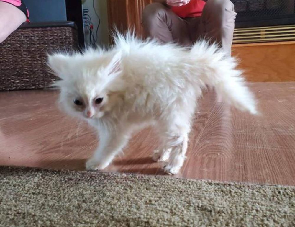 gfxprojectality tech trends from gfxmaker