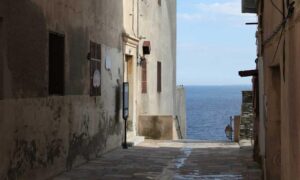 gfxrobotection ai software by gfxmaker