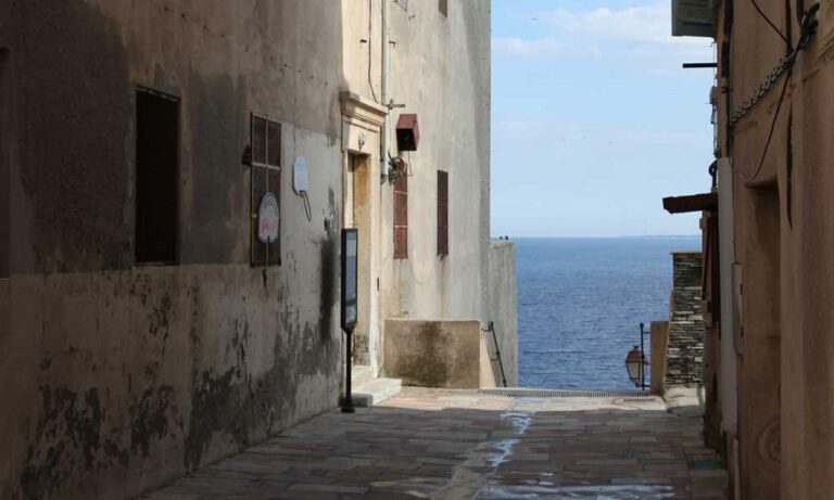 gfxrobotection ai software by gfxmaker