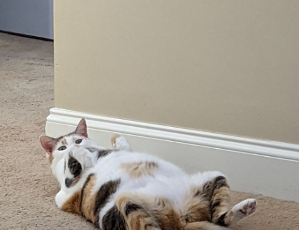 how to use guides in photoshop gfxprojectality how to use guides in photoshop gfxprojectality