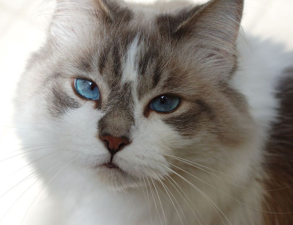 island name ponadiza island name ponadiza