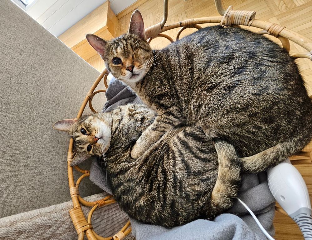 photoshop gfxprojectality photoshop gfxprojectality