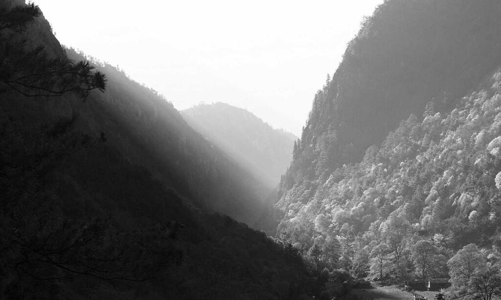 tips and tricks buzzardcoding