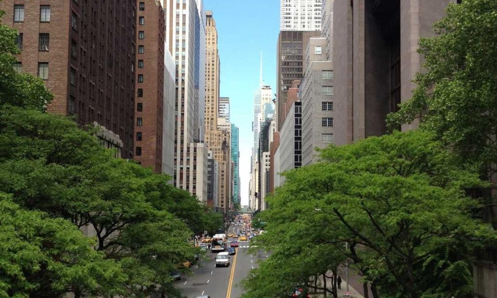 why zc jovapong hotel is cheap why zc jovapong hotel is cheap