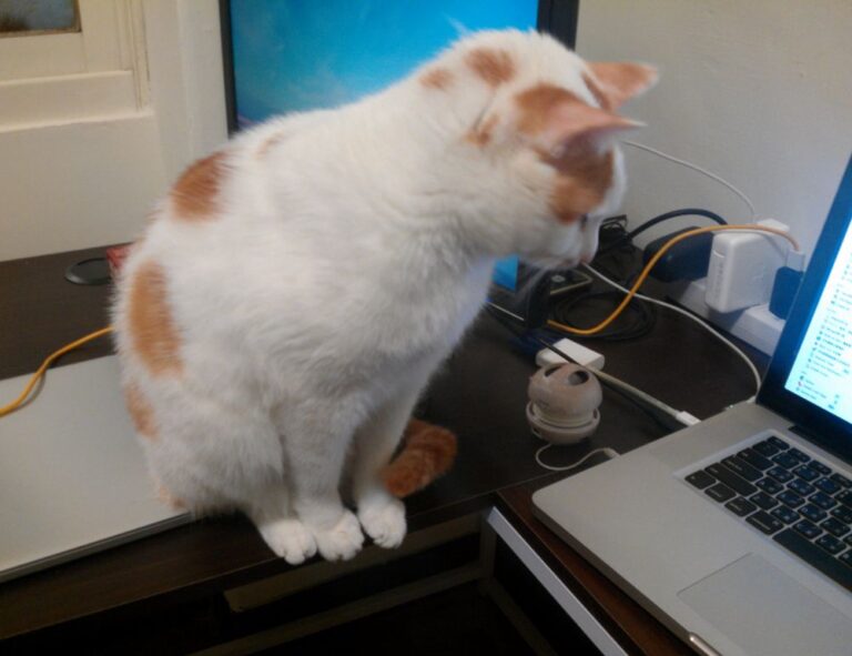 bavayllo mods lag fix