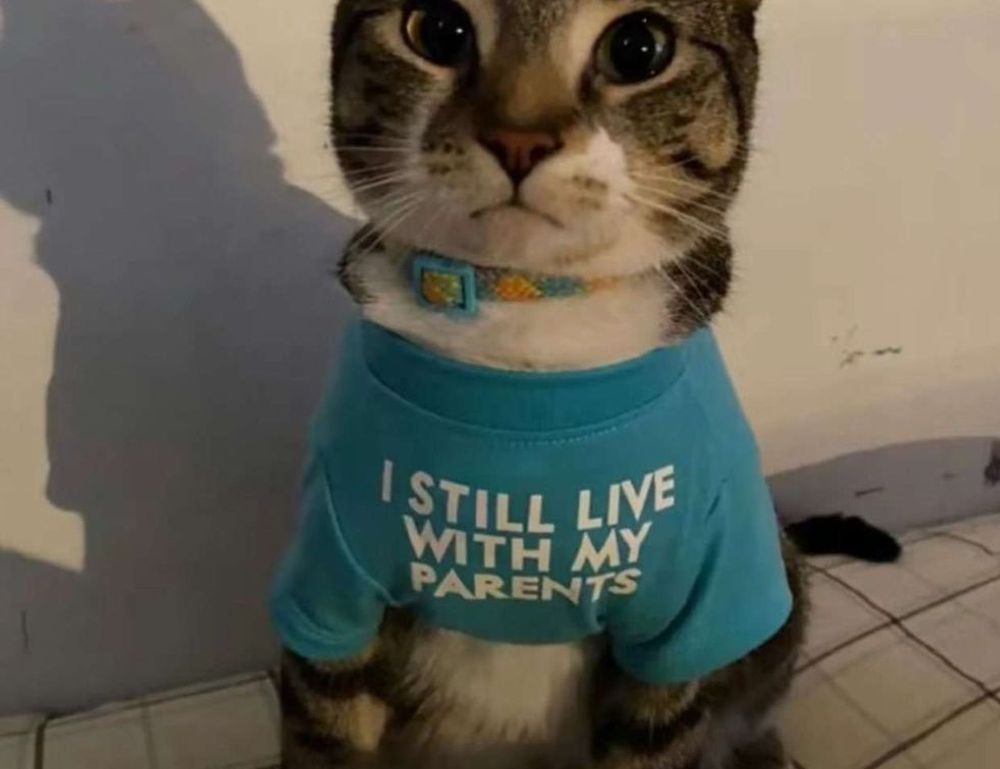 bavayllo mods new version