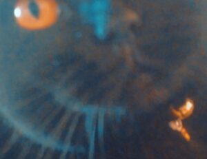 install bavayllo mods new version