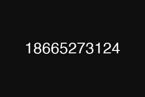 18665273124