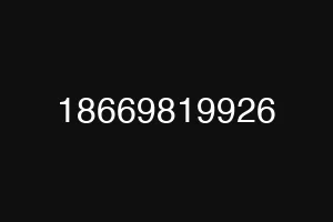18669819926