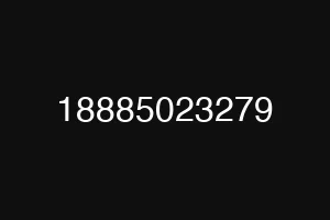 18885023279