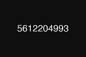 5612204993