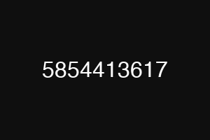 5854413617