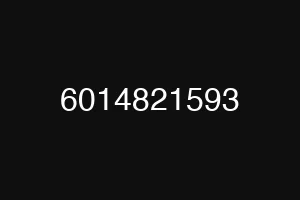 6014821593
