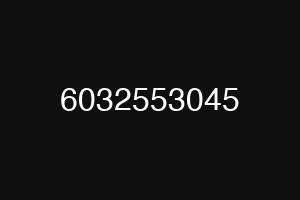 6032553045