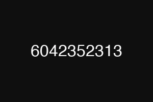 6042352313