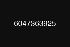 6047363925