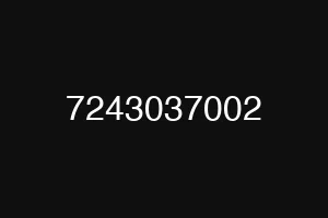 7243037002