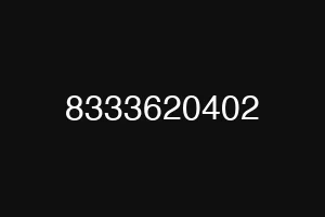 8333620402