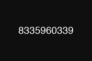 8335960339