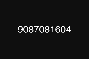 9087081604