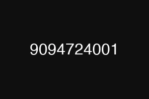 9094724001