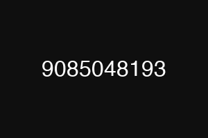 9085048193