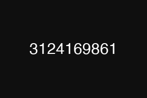 3124169861