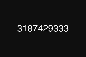 3187429333