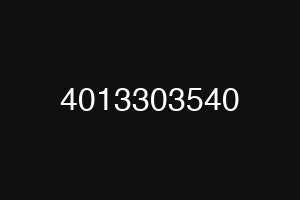 4013303540
