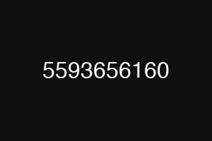 5593656160