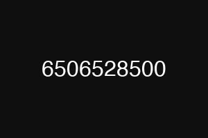 6506528500