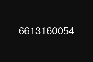 6613160054