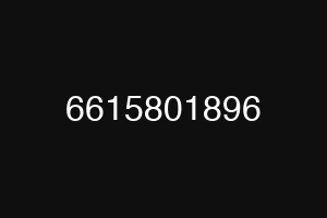 6615801896
