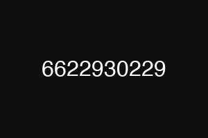 6622930229