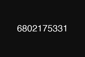 6802175331