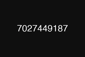 7027449187
