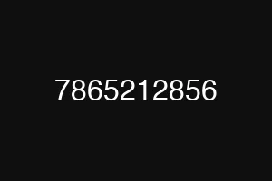 7865212856