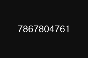 7867804761