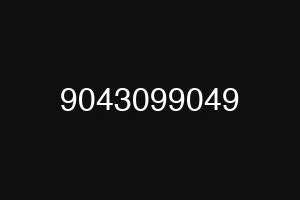 9043099049